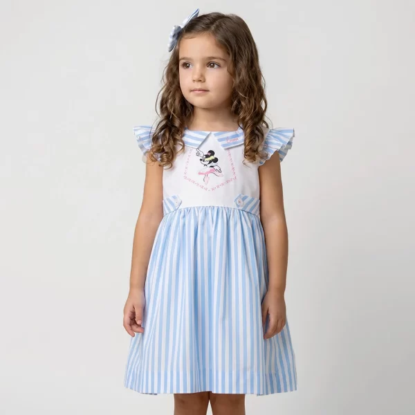 Once Upon a Mouse Dress